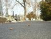 image Temeto-01.jpg