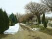 image Temeto-09.jpg